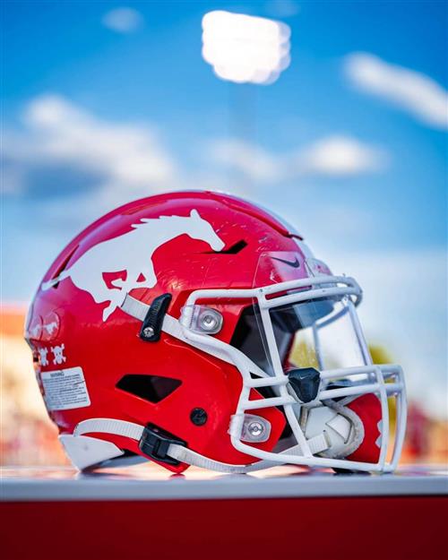 MUSTANGS